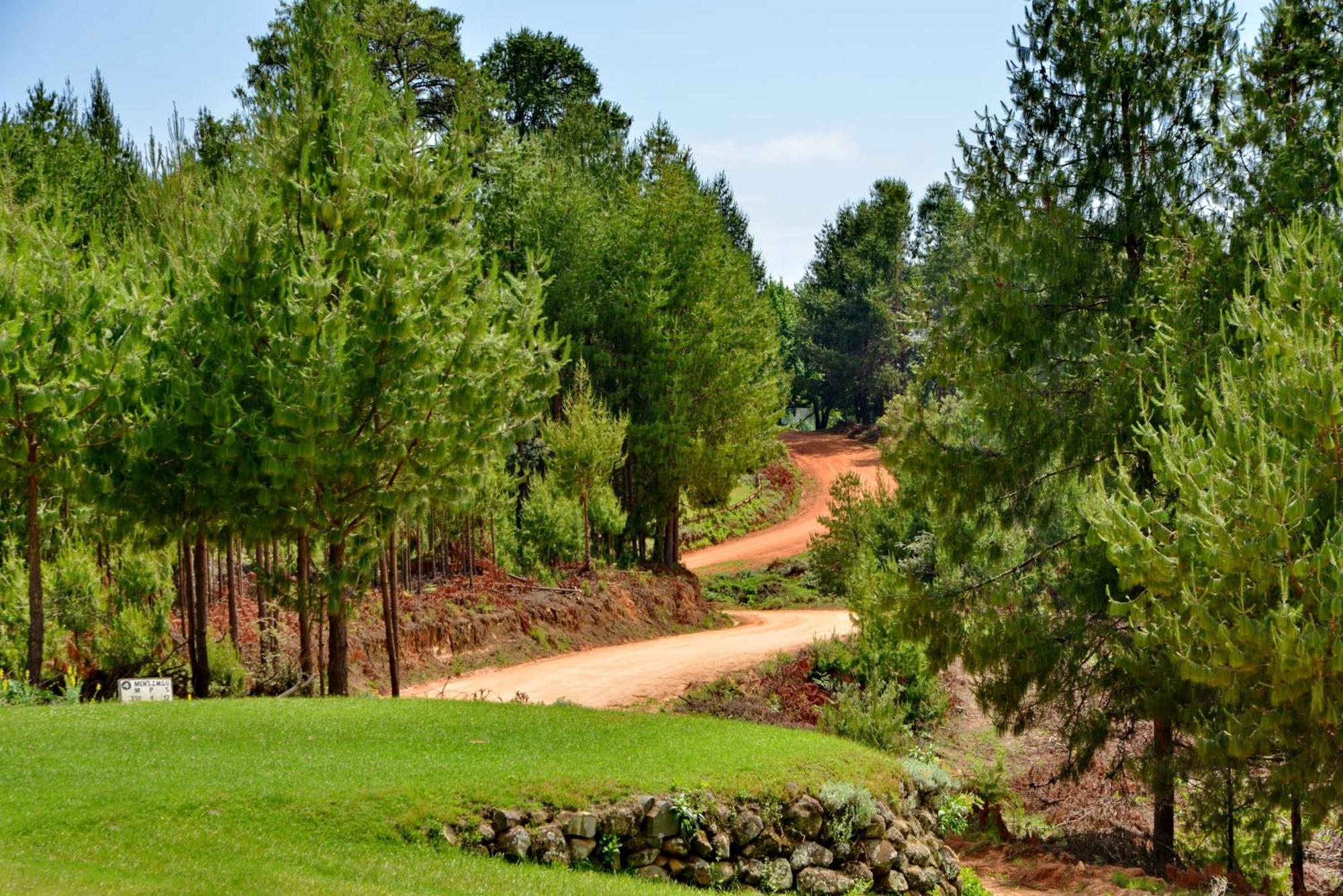 Nyanga Troutbeck Resort מראה חיצוני תמונה